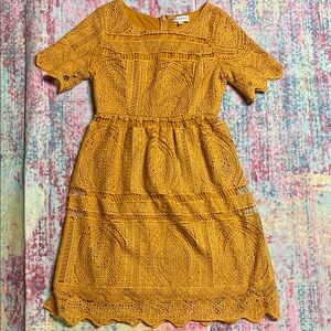 Elegant Mustard Lace Dress